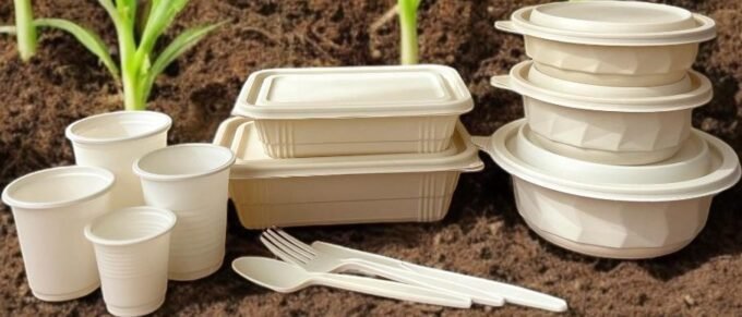 Biodegradable, Compostable Cornstarch 1000ml Rectangle Takeaway Lunch Box (10 pack)