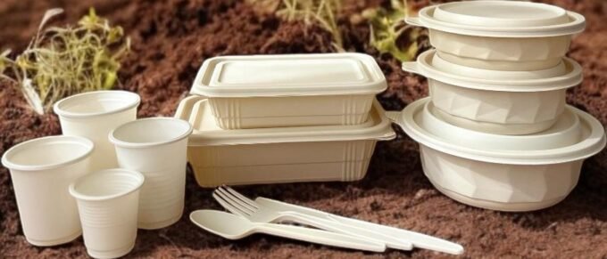 Biodegradable, Compostable Cornstarch 1000ml Rectangle Takeaway Lunch Box (10 pack)